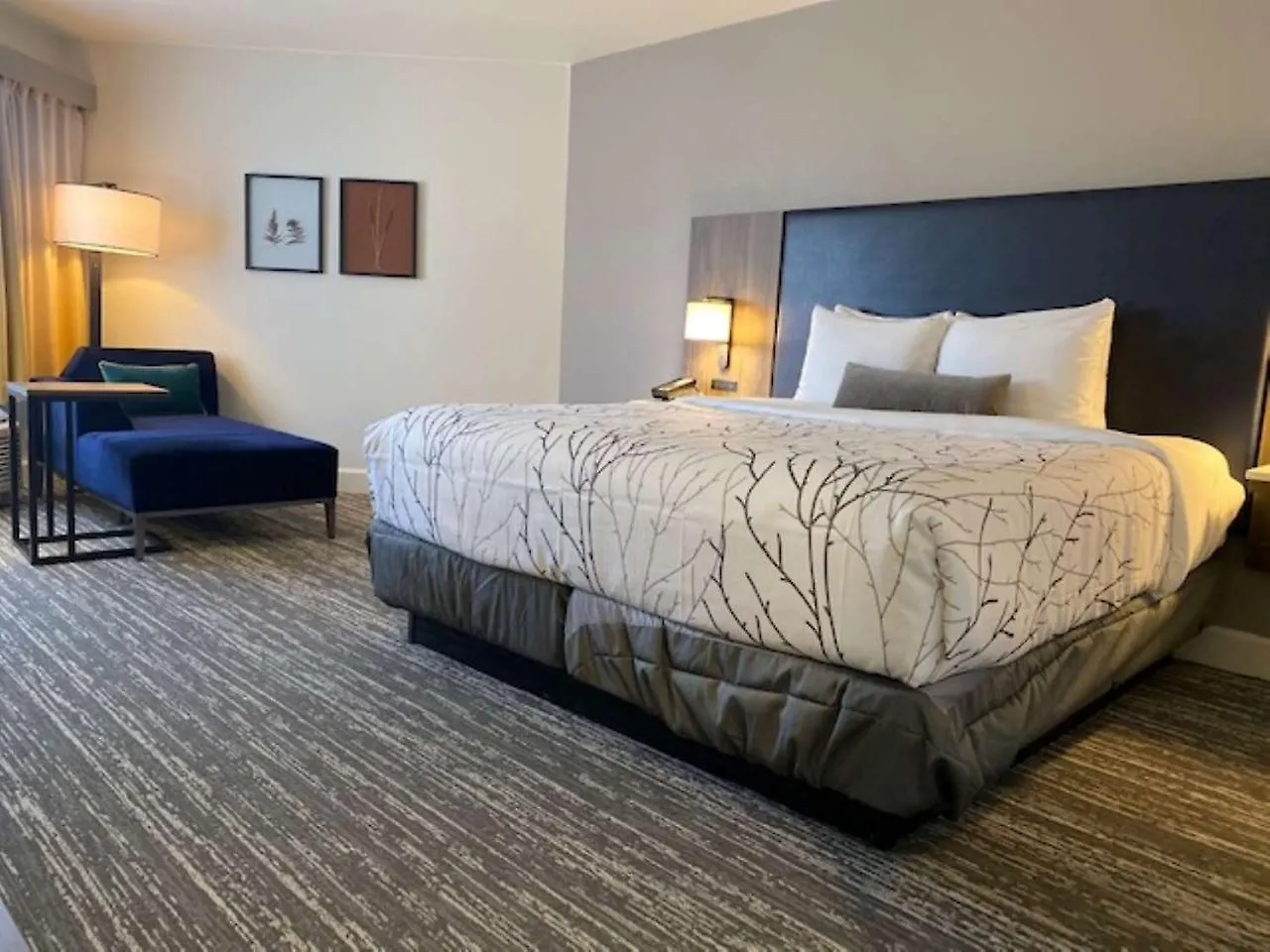 Best Western Premier Denver East USA