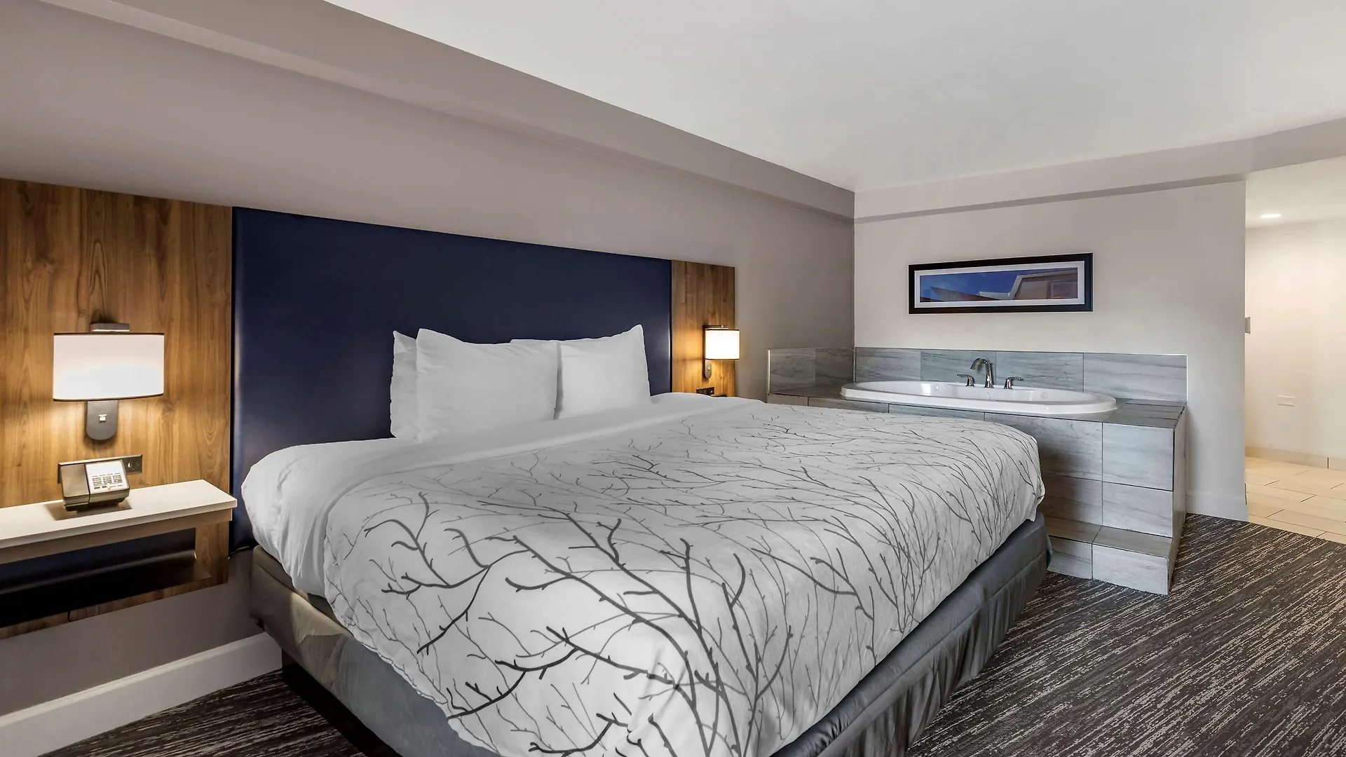 Hotel Best Western Premier Denver East
