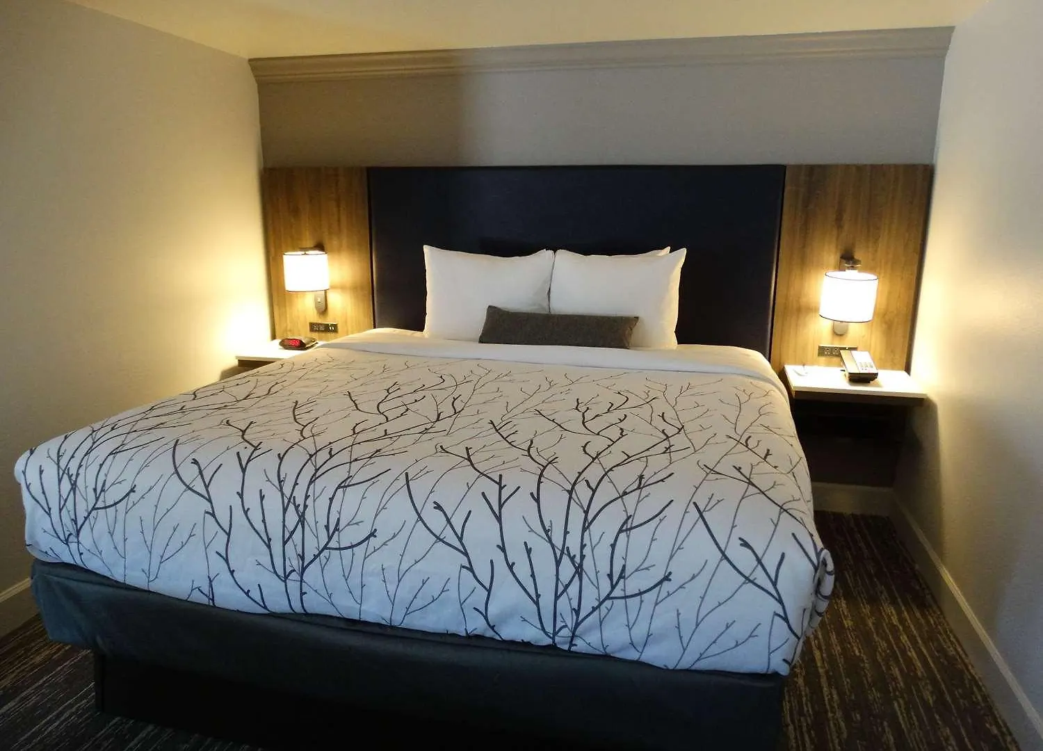 Best Western Premier Denver East Hotel